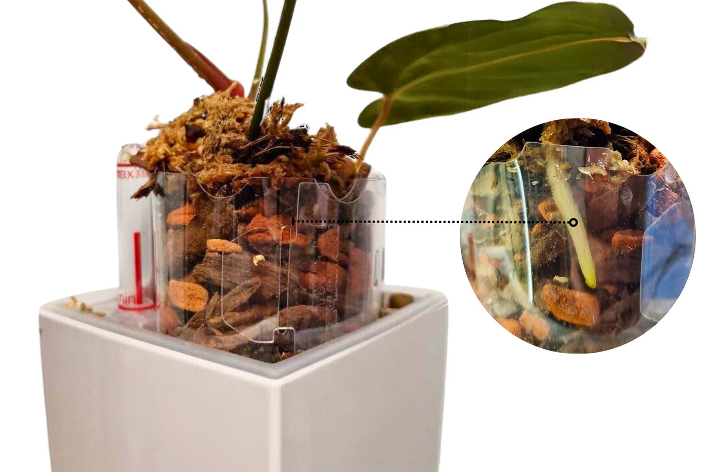 plant pot extender Pot Extender – Secret Foliage