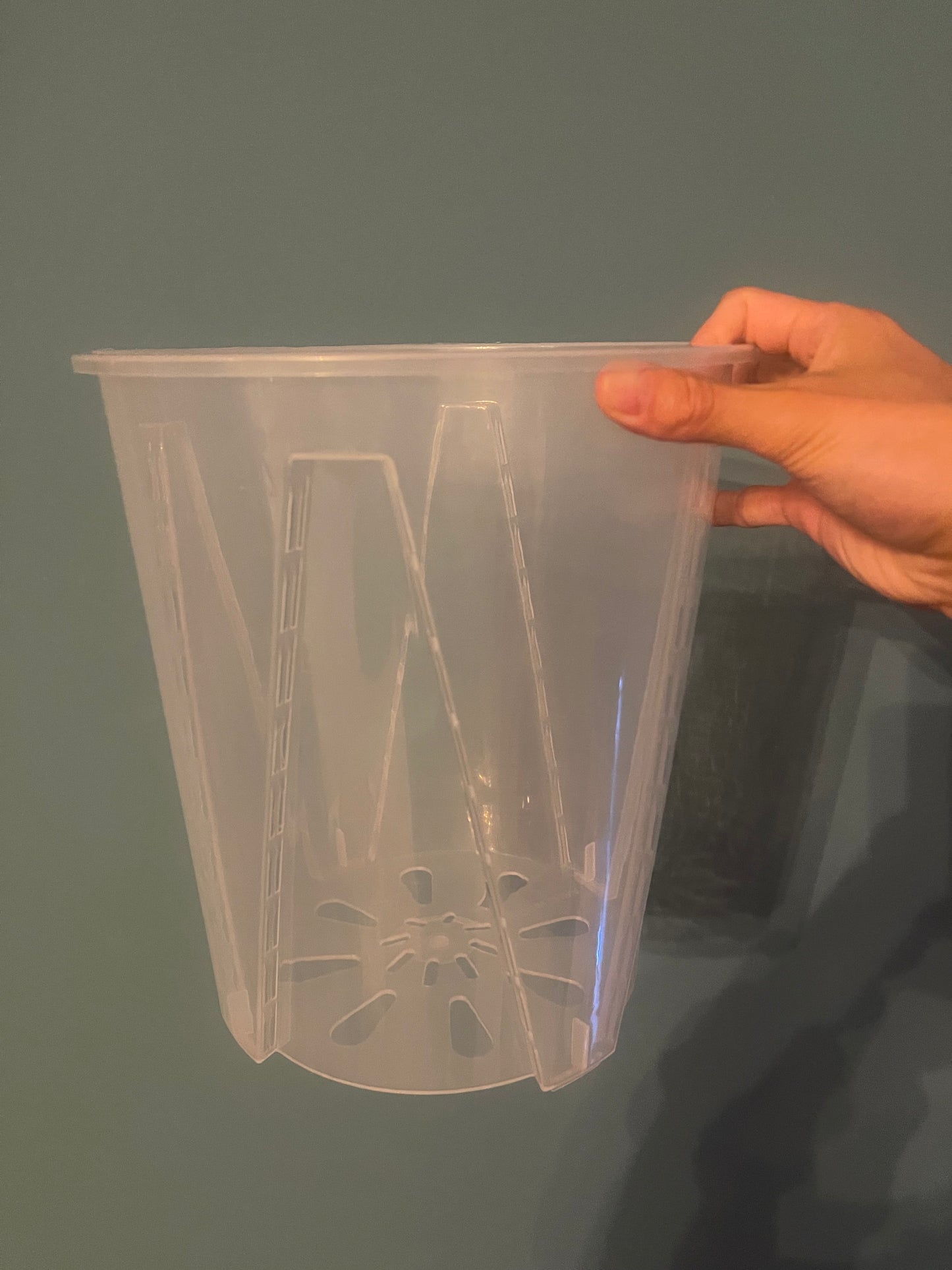 Pots pour Aroïdes / Racines Anti-Spirales – Transparent Cristal