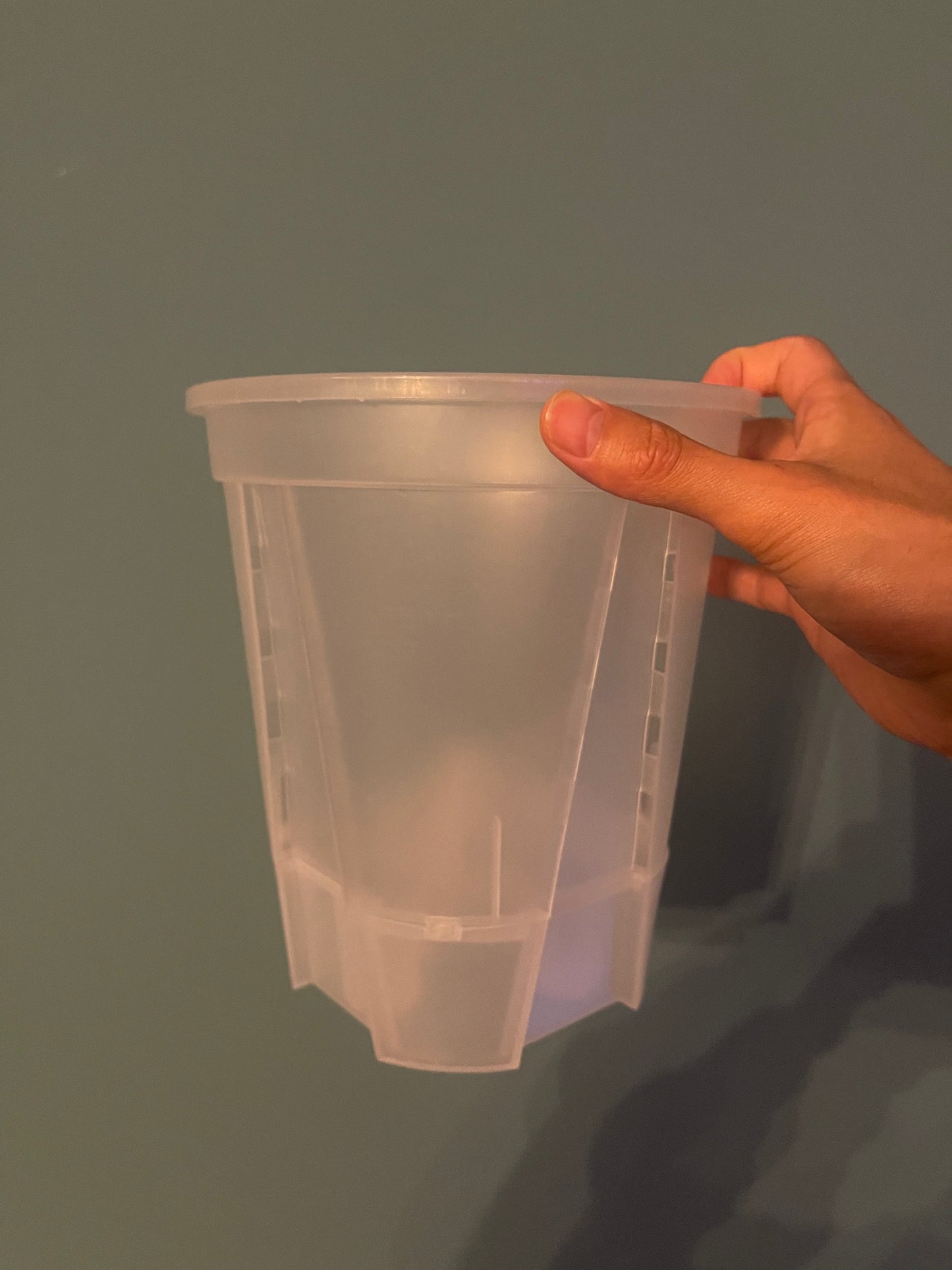 Pots pour Aroïdes avec Auto-Irrigation / Système Anti-Spirale Racinaire