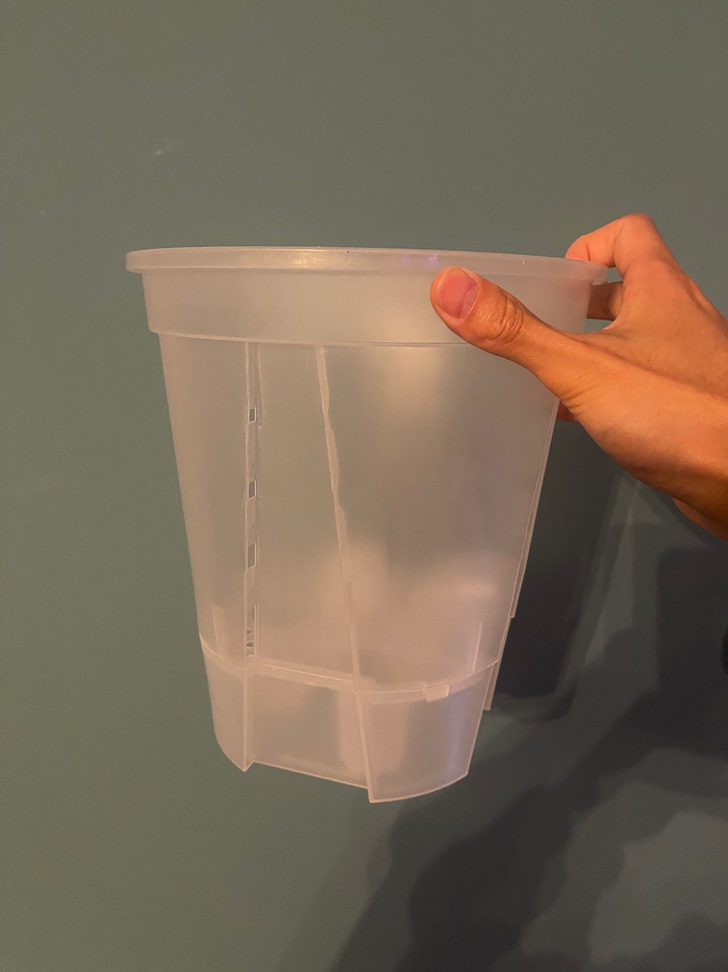 Self-Watering Aroid Pots / Anti-Spiral Roots