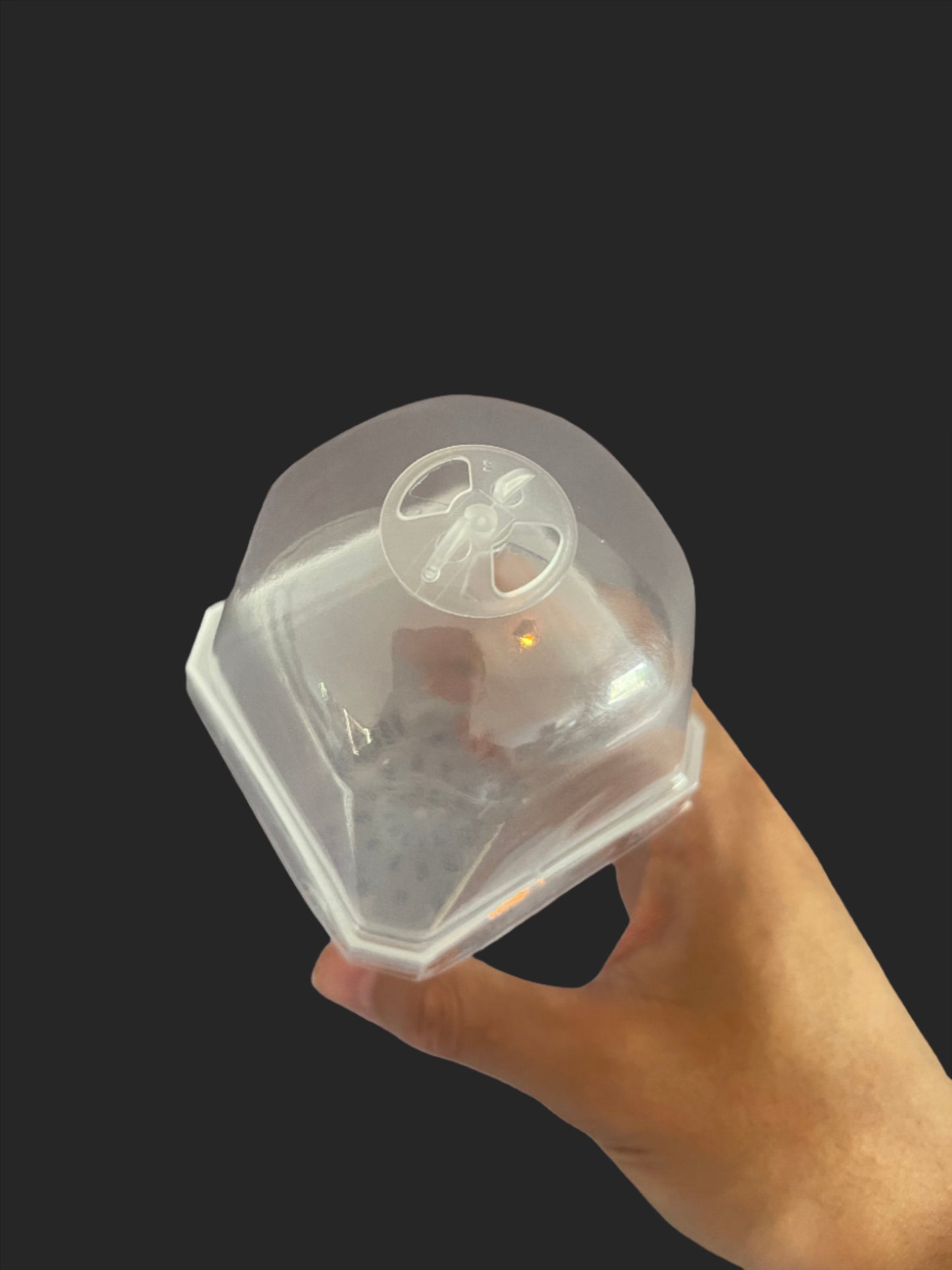 Maceta de Vivero para Aroides