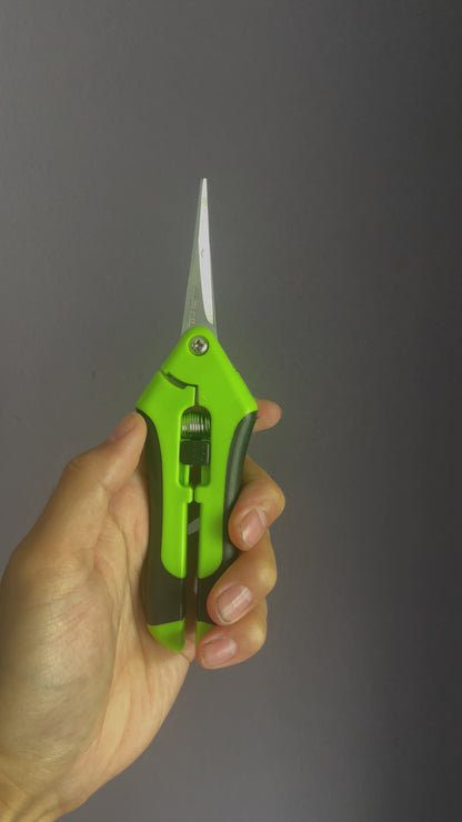 Pruning Scissors